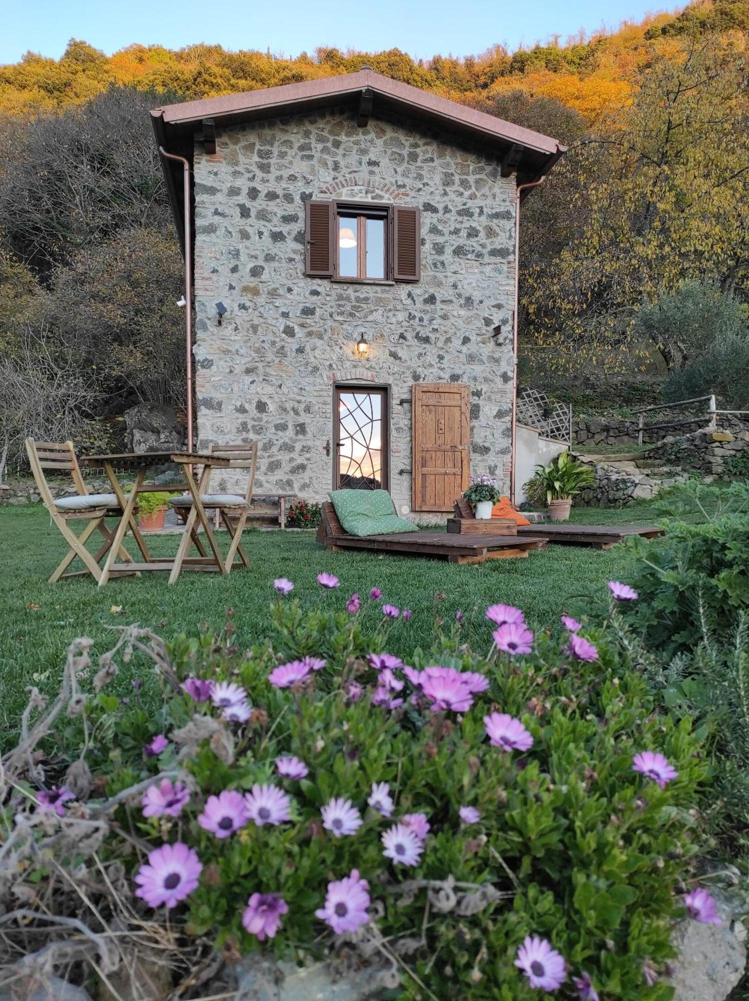 Il Nemus Agriturismo Villa Неми Екстериор снимка